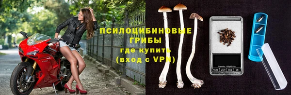кокс Корсаков