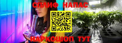 гидра Малоярославец