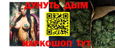 гидра Малоярославец