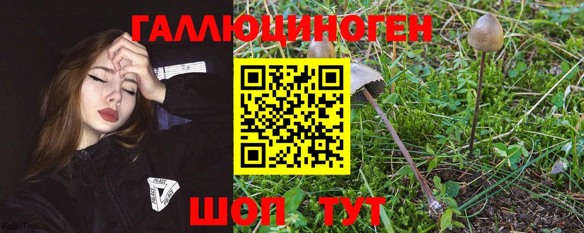 Галлюциногенные грибы мицелий  Галлюциногенные грибы мицелий  Вход с VPN  Карпинск 